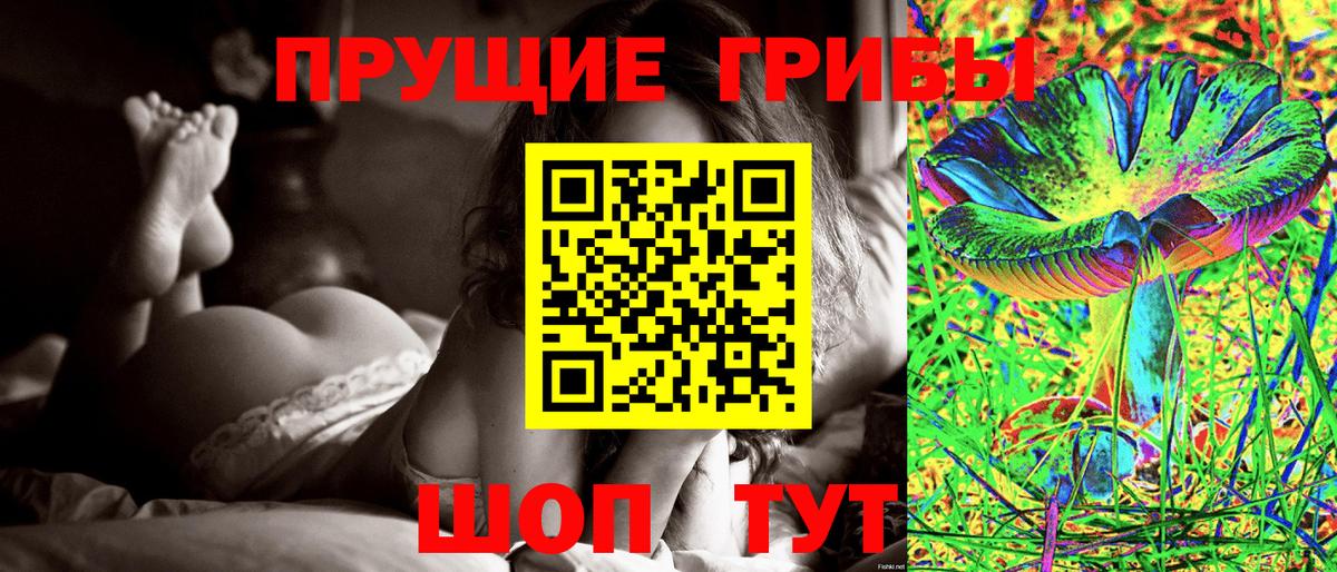Киселёвск  Псилоцибиновые грибы GOLDEN TEACHER  Галлюциногенные грибы мицелий  цена наркотик  Вход с VPN 