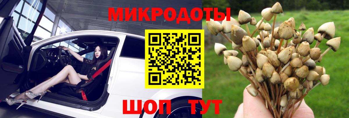 Галлюциногенные грибы мухоморы Киселёвск